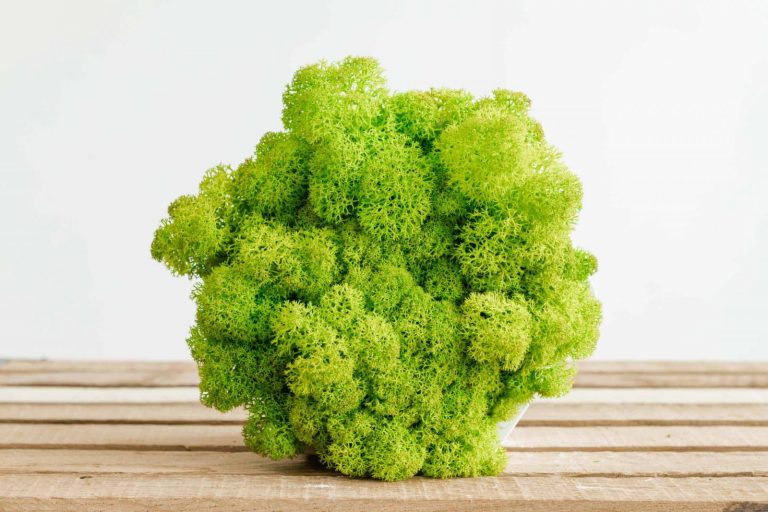 1 124
