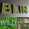 Moss Leter Logo_result Fa betűk mohával