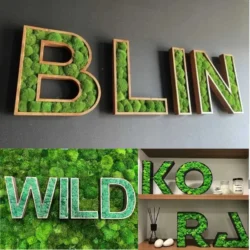 Moss Leter Logo_result Fa betűk mohával