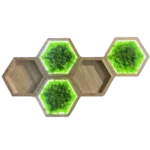 Világító hexagon mohakép szett és fa fali polc