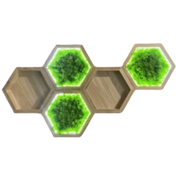 Világító hexagon mohakép szett és fa fali polc