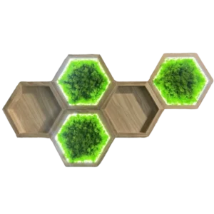 Világító hexagon mohakép szett és fa fali polc