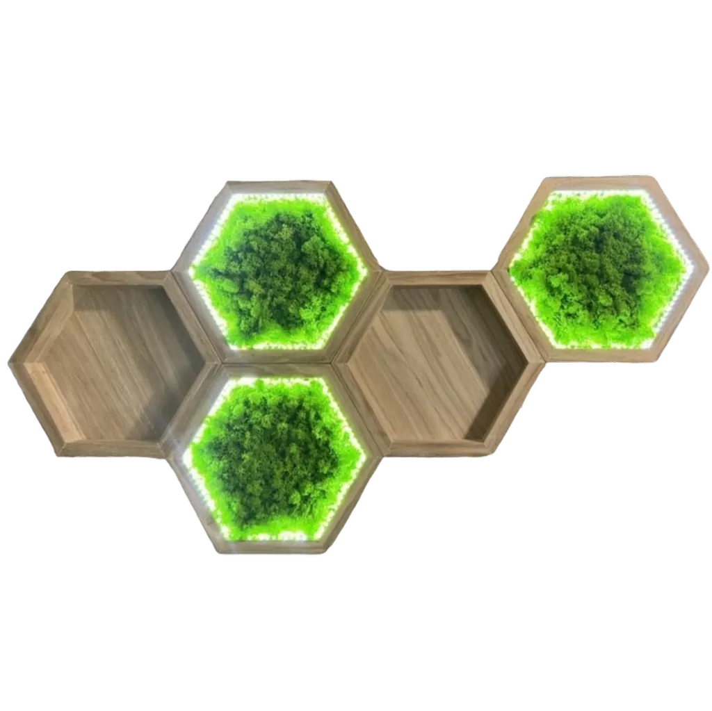 Moosbilder Sets: Mooshexagon und Holz Wandregal Beleuchtet Világító hexagon mohakép szett és fa fali polc