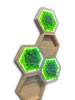 Világító hexagon mohakép szett fa polccal