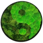 Kerek Yin Yang mohakép