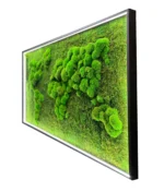 3D világító moha világtérkép részletfotó
