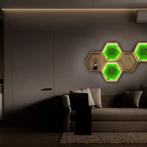 Világító hexagon mohakép szett és fa fali polc