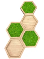 Világító hexagon mohakép szett