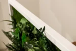 Dzsungel élő moha kép mohával és növényekkel