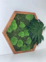 Hatszögletű élő moha kép növényekkel - moha hexagon