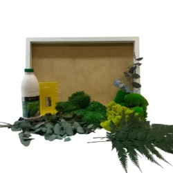 DIY Moss Art wiht plants _result Csináld magad élő moha kép szett – Dzsungel