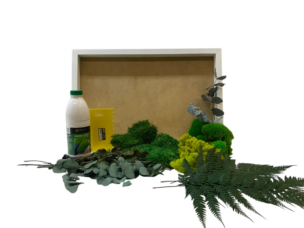 DIY Moss Art wiht plants _result Csináld magad élő moha kép szett – Dzsungel