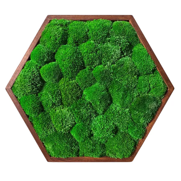 Hexagon Ballmoss_result Hatszögletű mohakép gömbmohával