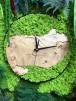 Kerek falióra tömör fából mohával és növényekkel