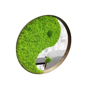 Yin-Yang moha tükör izlandi mohával és gömbmohával