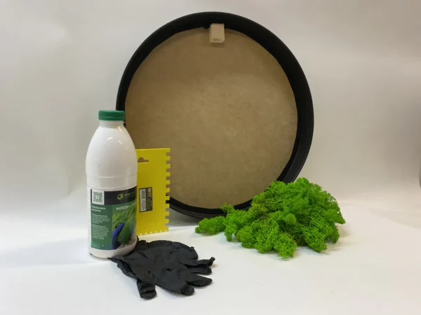 Ekomoss kerek mohakép készítő DIY szett izlandi zuzmóval
