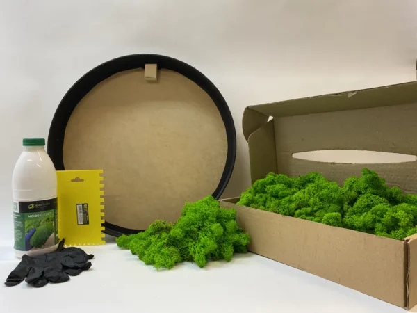 Ekomoss Runde Moosbild selber machen Set – Islandmoos Ekomoss kerek mohakép készítő DIY szett izlandi zuzmóval