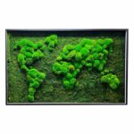 Moha térkép gömbmoha és lapos moha fa keretben