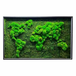 Moha térkép gömbmoha és lapos moha fa keretben