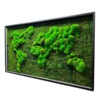 Moha térkép gömbmoha és lapos moha fa keretben