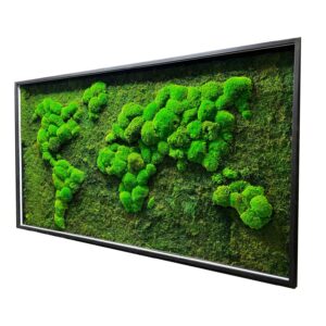 Moha térkép gömbmoha és lapos moha fa keretben