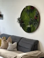 Kerek élő moha kép részletgazdag növényi kompozícióval