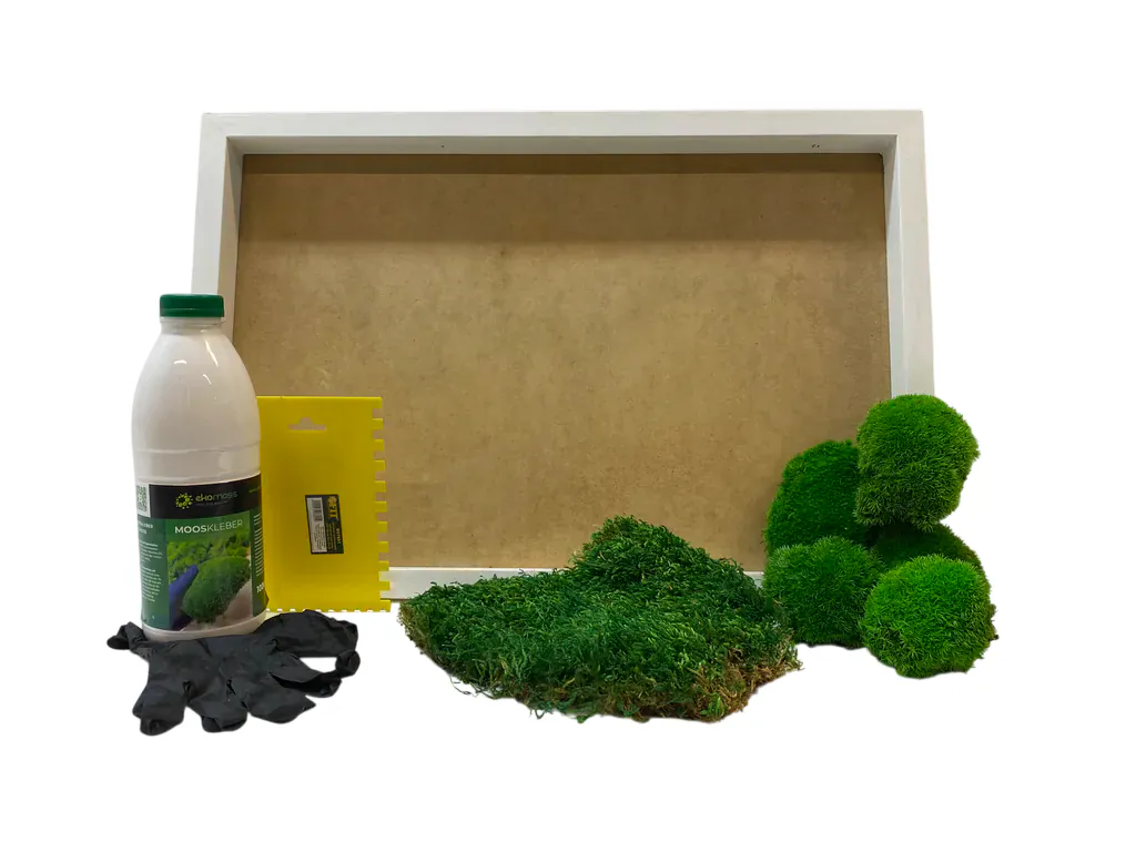 Moss art mix moss_result DIY mohakép készítő szett gömbmoha és laposmoha keverékével
