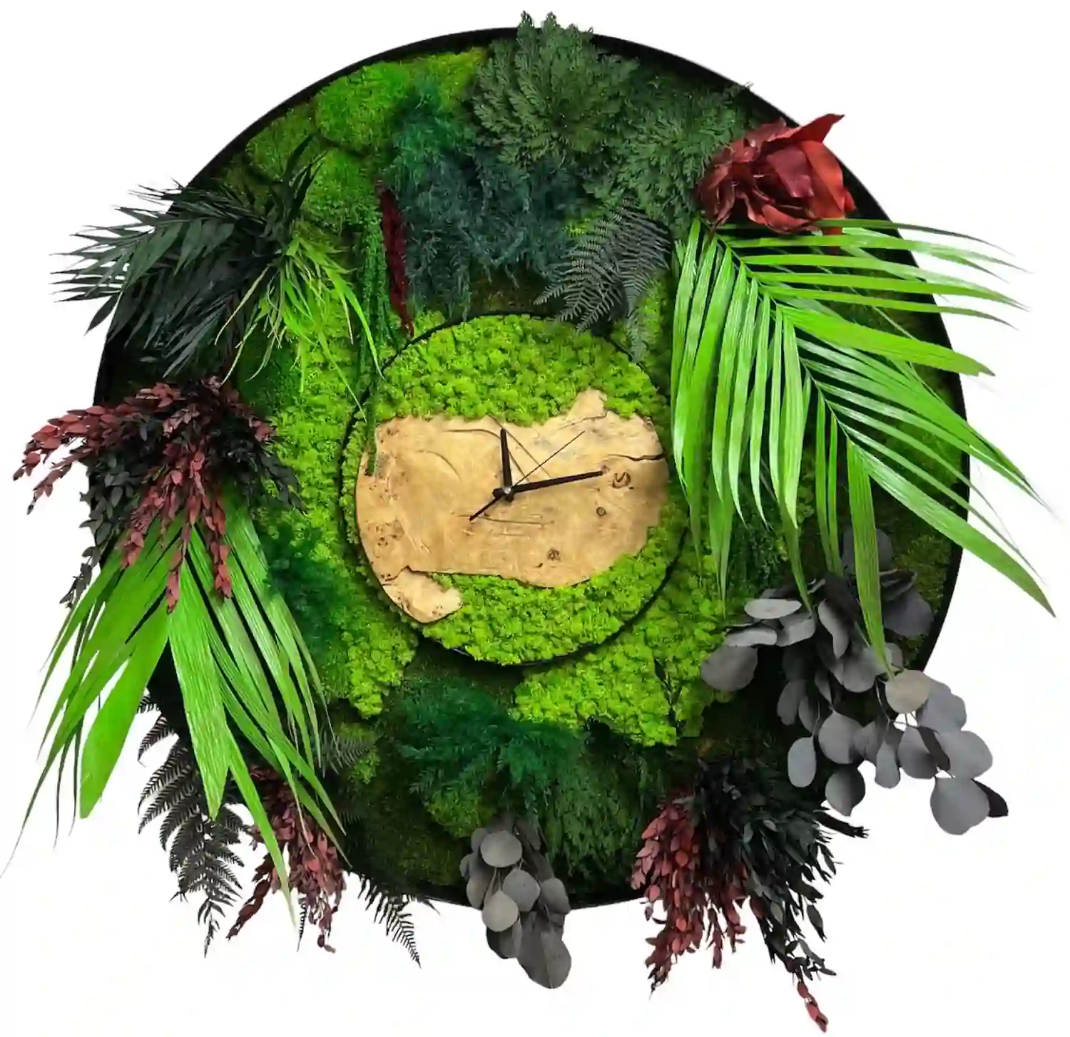Runde Wanduhr mit Moos Massivholz und Pflanzen | Bilderuhr Kerek falióra mohával és növényekkel - Élő moha kép