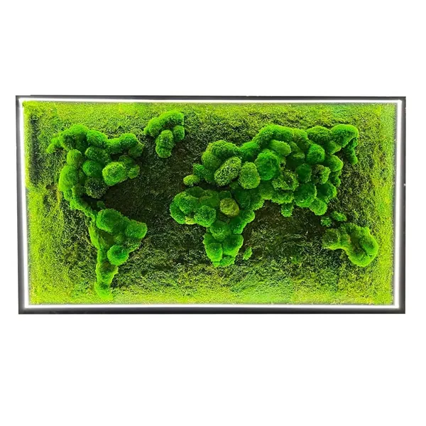 3D Weltkarte Beleuchtet und Kugelmoos Flachmoos 3D világító moha világtérkép gömbmoha és lapos moha dekoráció