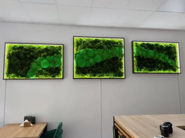 Moosbild Set mit Beleuchtung Mohakép szett világítással