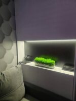 Zuzmó üvegben fehér kövekkel – Erdei geometria