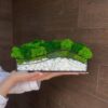 Moha üvegben fehér kövekkel - Grüne Welle Mosarium