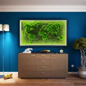 3D világító moha világtérkép gömbmoha és lapos moha