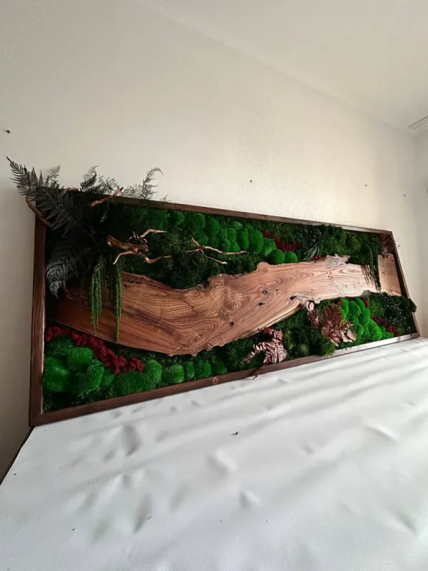 Moosbild mit Holz – Walnuss Waldlandschaft Élő moha kép fával – diófa erdei tájkép
