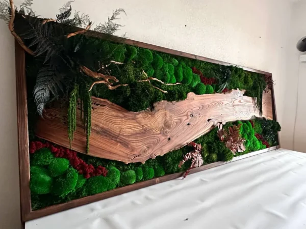 Moosbild mit Holz – Walnuss Waldlandschaft Élő moha kép fával – diófa erdei tájkép