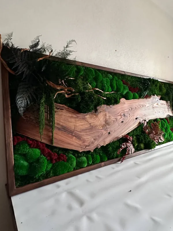 Moosbild mit Holz – Walnuss Waldlandschaft Élő moha kép fával – diófa erdei tájkép