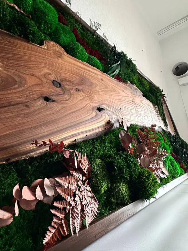Moosbild mit Holz – Walnuss Waldlandschaft Élő moha kép fával – diófa erdei tájkép