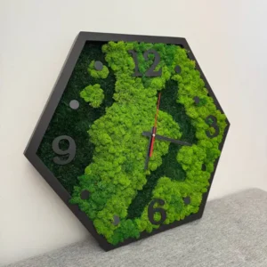 Hexagon moha falióra natúr keverék