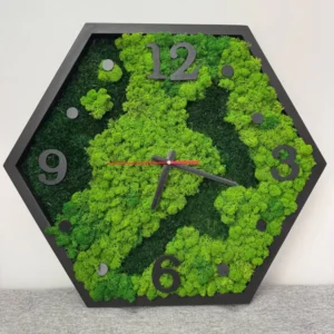 Hexagon moha falióra natúr keverék