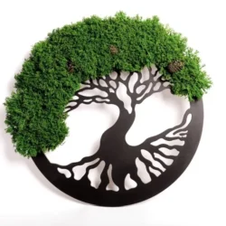 Moosbilder: Baum mit Zapfen und Islandmoos | Moosbaum Mohakép Életfa tobozokkal és izlandi mohával