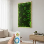 Gömbmoha és lapos moha 50/50