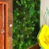 Moss Wall with plants_result Zöldfal panel
