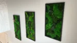 3 részes mohakép szett Gömbmoha Dzsungel-Kaszkád