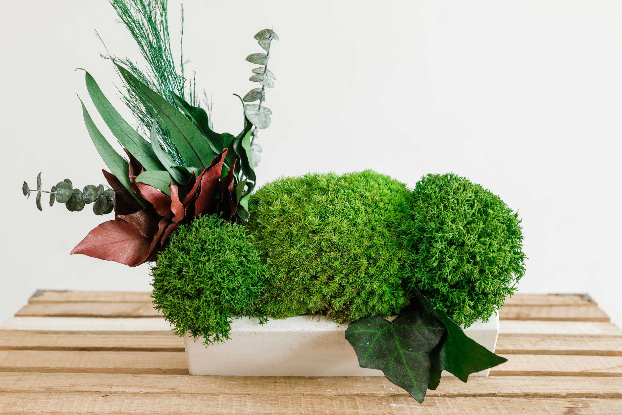 Betonvase mit Islandmoos und Pflanzen. Satz von 2 Stk. Beton váza izlandi mohával és növényekkel