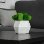 Hexagon dekorációs váza kézzel készített váza izlandi mohával