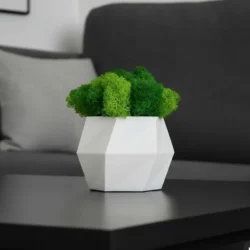 Hexagon dekorációs váza kézzel készített váza izlandi mohával