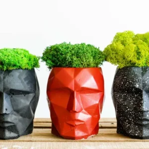 3D betonváza mohával és növényekkel modern belső térben