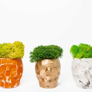 3D beton váza izlandi mohával – 2 db-os szett