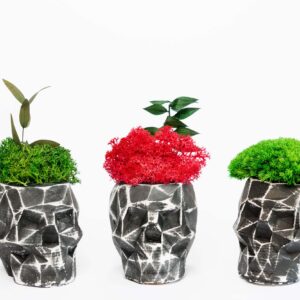 3D beton váza izlandi mohával és növényekkel. 2 db-os szett.