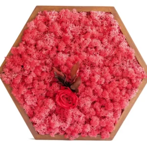 Hatszögletű mohakép piros izlandi zuzmóval, piros rózsával és barna fa kerettel (kb. 50 cm).